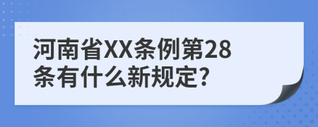 河南省XX条例第28条有什么新规定?