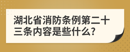 湖北省消防条例第二十三条内容是些什么?