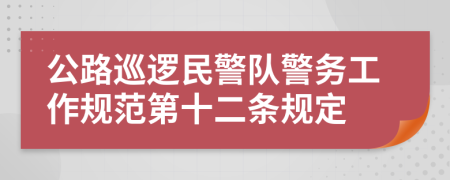 公路巡逻民警队警务工作规范第十二条规定