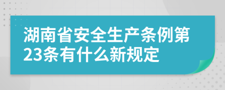 湖南省安全生产条例第23条有什么新规定