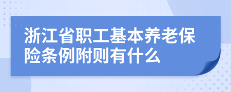 浙江省职工基本养老保险条例附则有什么