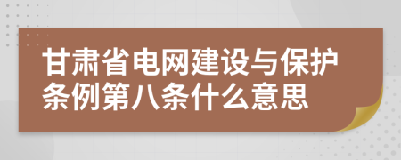 甘肃省电网建设与保护条例第八条什么意思