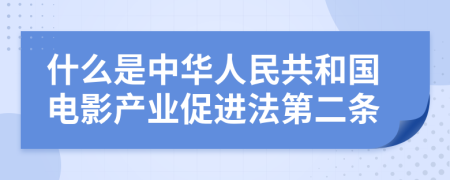 什么是中华人民共和国电影产业促进法第二条