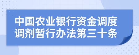 中国农业银行资金调度调剂暂行办法第三十条