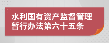 水利国有资产监督管理暂行办法第六十五条