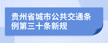 贵州省城市公共交通条例第三十条新规