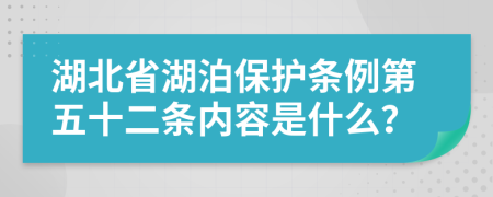 湖北省湖泊保护条例第五十二条内容是什么？