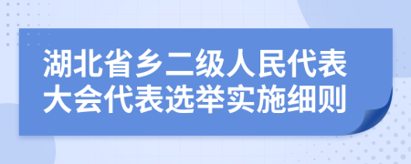 湖北省乡二级人民代表大会代表选举实施细则