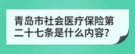 青岛市社会医疗保险第二十七条是什么内容？