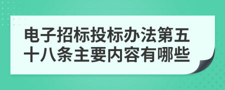 电子招标投标办法第五十八条主要内容有哪些