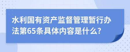 水利国有资产监督管理暂行办法第65条具体内容是什么?