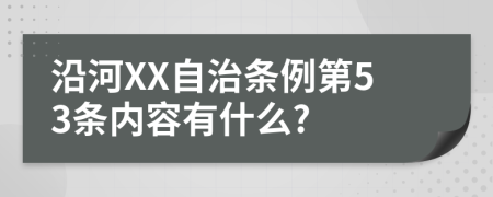 沿河XX自治条例第53条内容有什么?