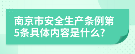 南京市安全生产条例第5条具体内容是什么?