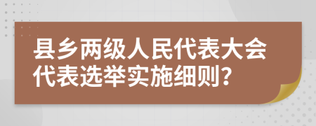 县乡两级人民代表大会代表选举实施细则？