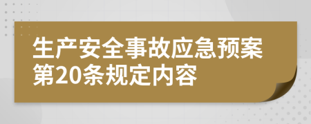 生产安全事故应急预案第20条规定内容