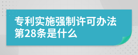 专利实施强制许可办法第28条是什么