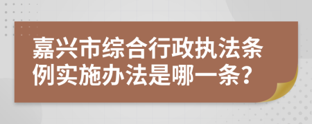 嘉兴市综合行政执法条例实施办法是哪一条？