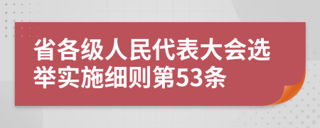 省各级人民代表大会选举实施细则第53条