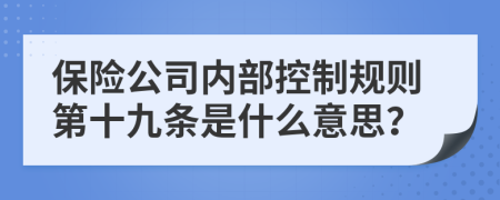 保险公司内部控制规则第十九条是什么意思？