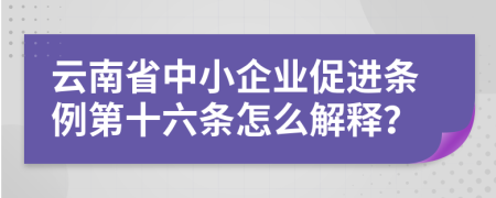 云南省中小企业促进条例第十六条怎么解释？