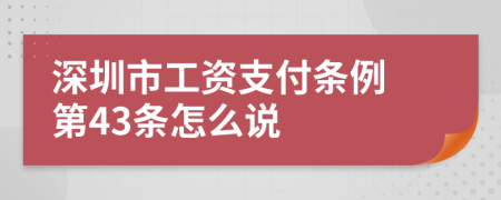  深圳市工资支付条例 第43条怎么说
