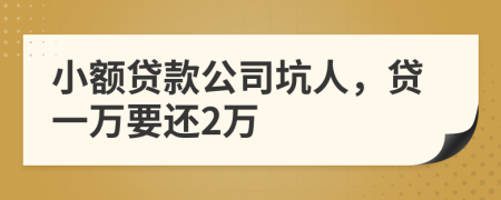 小额贷款公司坑人，贷一万要还2万