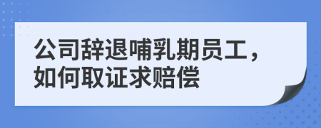 公司辞退哺乳期员工，如何取证求赔偿