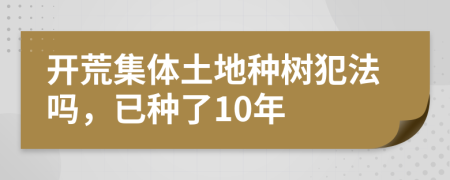 开荒集体土地种树犯法吗，已种了10年