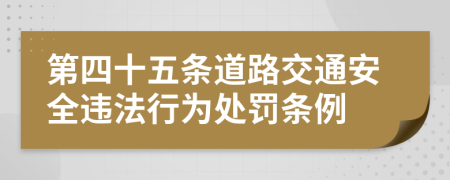 第四十五条道路交通安全违法行为处罚条例