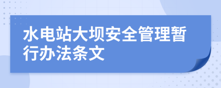 水电站大坝安全管理暂行办法条文