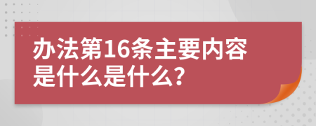 办法第16条主要内容是什么是什么？