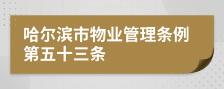 哈尔滨市物业管理条例第五十三条