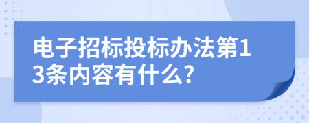 电子招标投标办法第13条内容有什么?