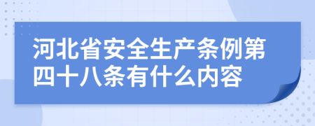 河北省安全生产条例第四十八条有什么内容