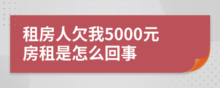 租房人欠我5000元房租是怎么回事