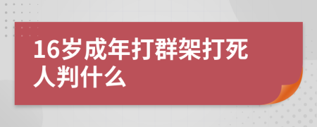 16岁成年打群架打死人判什么