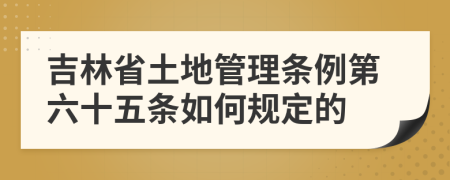 吉林省土地管理条例第六十五条如何规定的