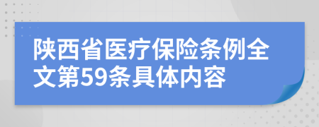 陕西省医疗保险条例全文第59条具体内容