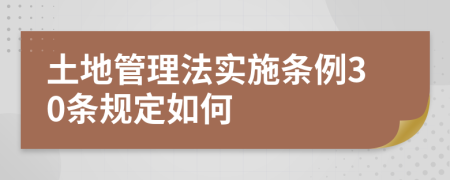 土地管理法实施条例30条规定如何