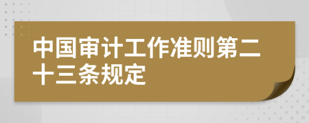 中国审计工作准则第二十三条规定