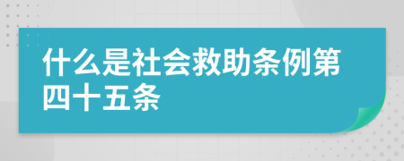 什么是社会救助条例第四十五条