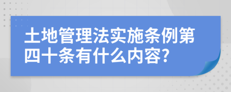 土地管理法实施条例第四十条有什么内容?