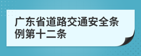 广东省道路交通安全条例第十二条