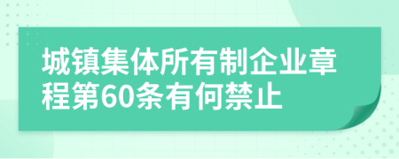 城镇集体所有制企业章程第60条有何禁止
