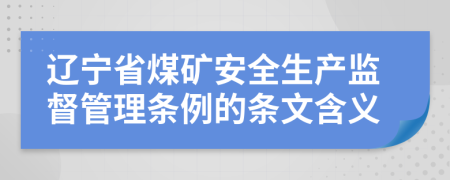 辽宁省煤矿安全生产监督管理条例的条文含义