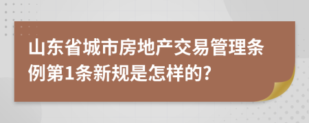 山东省城市房地产交易管理条例第1条新规是怎样的?