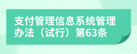 支付管理信息系统管理办法（试行）第63条