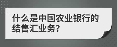 什么是中国农业银行的结售汇业务？