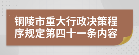 铜陵市重大行政决策程序规定第四十一条内容