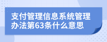 支付管理信息系统管理办法第63条什么意思